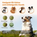 Bollkastare Automatisk Grön Plast för Hundar Interaktiv Leksak med 3 Bollar och Justerbart Kastavstånd Rolig Träning och Aktivitet