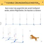 Slalomhinder för Agilityträning, Justerbara Slalompinnar med Bärväska, Rolig Aktivitet för Hundar i Trädgården, Vit/Blå, 305 x 60 x 94 cm